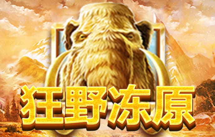 BG大游